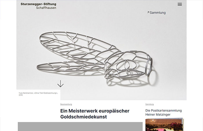 sturzenegger-stiftung